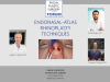 Endonasal rhinoplasty techniques